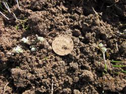 post-12688-0-39487200-1365056297_thumb.j