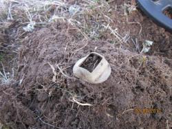 post-12688-0-42371600-1365022134_thumb.j