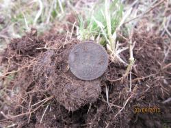 post-12688-0-47763400-1365058212_thumb.j