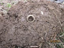 post-12688-0-55163400-1365274115_thumb.j