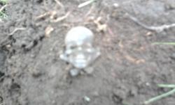 post-12688-0-67040400-1365440255_thumb.j