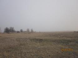 post-12688-0-75824100-1365021438_thumb.j