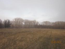 post-12688-0-82330600-1365021322_thumb.j