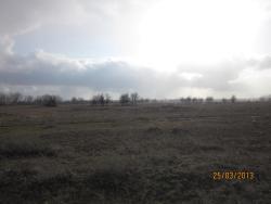 post-12688-0-82561500-1365021188_thumb.j