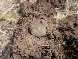 post-12688-0-90993400-1365056785_thumb.j