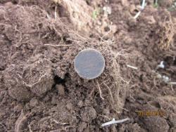 post-12688-0-95112800-1365058349_thumb.j