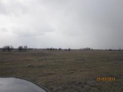 post-12688-0-96415300-1365020664_thumb.j