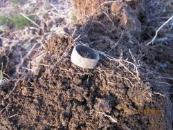 post-12688-0-99322700-1365054656_thumb.j