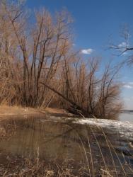 post-13075-0-36141000-1366616294_thumb.j