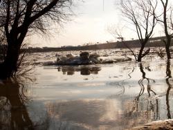 post-13075-0-39455700-1366616402_thumb.j