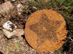 post-13075-0-41283400-1366616731_thumb.j