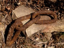 post-13075-0-64605800-1366616674_thumb.j