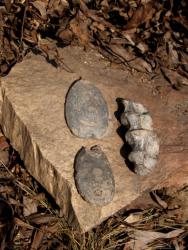 post-13075-0-73879300-1366616764_thumb.j