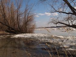 post-13075-0-80528900-1366616185_thumb.j