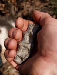 post-13075-0-94118900-1366616772_thumb.j