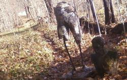 post-13076-0-74005000-1366866859_thumb.j