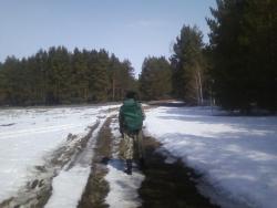 post-1580-0-47433100-1365862327_thumb.jp