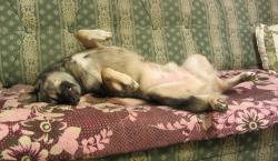 post-16248-0-07410700-1365310373_thumb.j