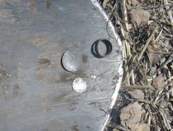 post-1887-0-02990500-1366558768_thumb.jp