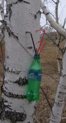 post-1887-0-36059400-1366985247_thumb.jp