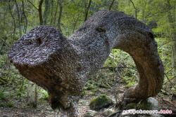 post-1887-0-51024900-1366725128_thumb.jp