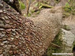 post-1887-0-77156300-1366725129_thumb.jp