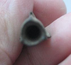 post-19676-0-03973900-1367250160_thumb.j