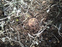 post-20472-0-35629700-1365259962_thumb.j