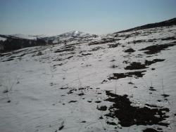 post-20472-0-66835700-1364993936_thumb.j