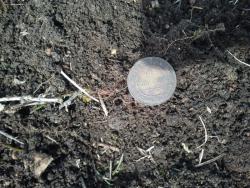 post-20472-0-70266800-1365259961_thumb.j