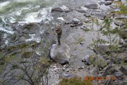 post-24328-0-30180900-1364973603_thumb.j