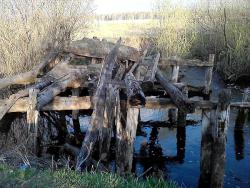 post-24328-0-30329400-1364979353_thumb.j