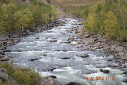 post-24328-0-39107800-1364973530_thumb.j