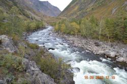 post-24328-0-45227500-1364973531_thumb.j