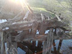 post-24328-0-69693100-1364979069_thumb.j