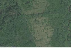 post-24461-0-63179700-1364986825_thumb.j