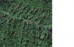 post-24461-0-67541800-1364982331_thumb.j