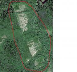 post-24461-0-79505000-1364981212_thumb.j