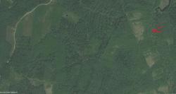 post-24461-0-79932000-1364986584_thumb.j