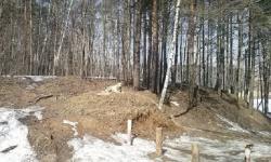 post-24461-0-96872000-1366132304_thumb.j