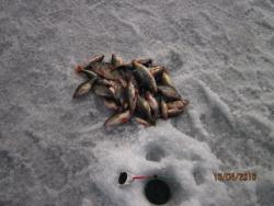 post-2511-0-36499800-1365950710_thumb.jp