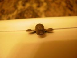 post-25883-0-45850900-1365523204_thumb.j