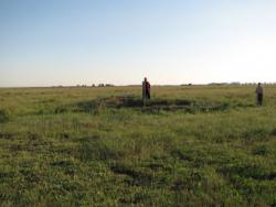 post-26575-0-99475900-1366219393_thumb.j