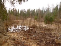 post-2838-0-36460500-1366459248_thumb.jp