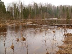 post-2838-0-38265200-1366459323_thumb.jp