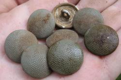 post-2838-0-41812600-1365744972_thumb.jp