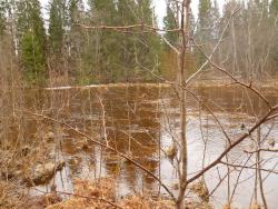 post-2838-0-51316200-1366459355_thumb.jp