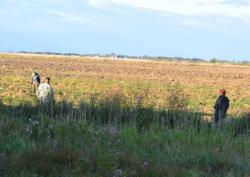 post-2838-0-52980100-1365919255_thumb.jp