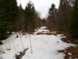 post-2838-0-59209800-1366459076_thumb.jp