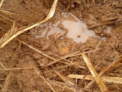 post-2838-0-62085500-1366459423_thumb.jp